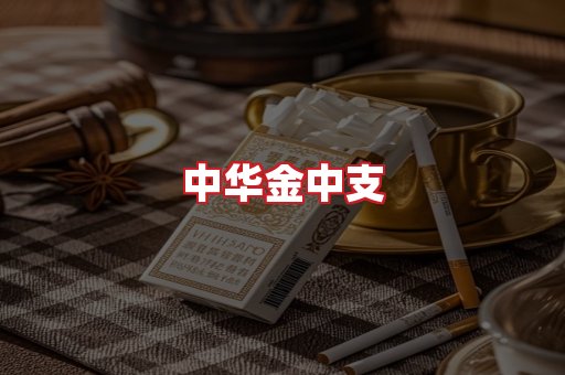 中华金中支